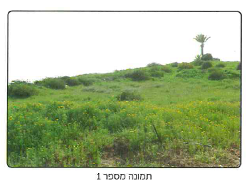 (בספר 3 תמונות)